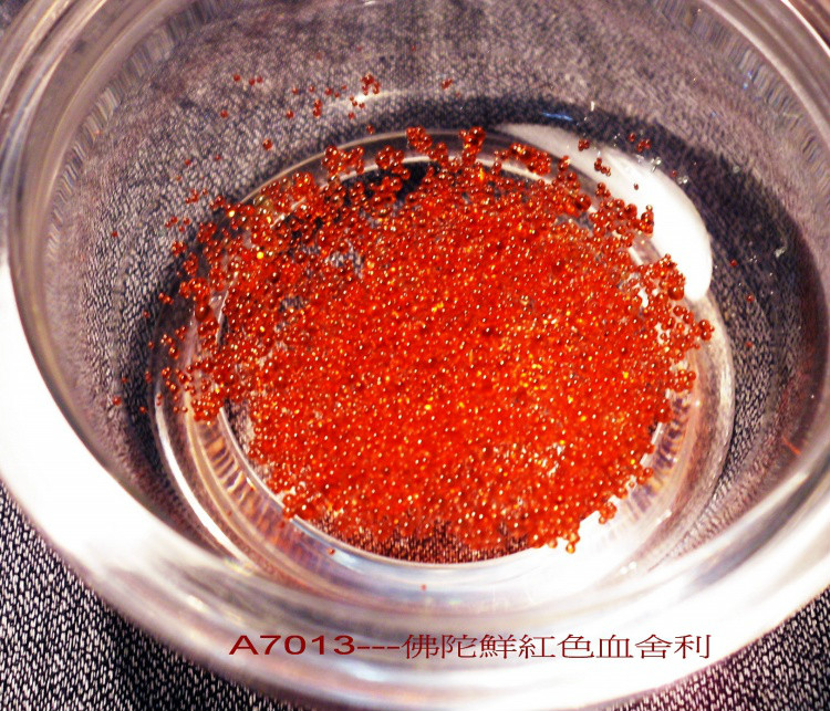 ����Ĳ�����������