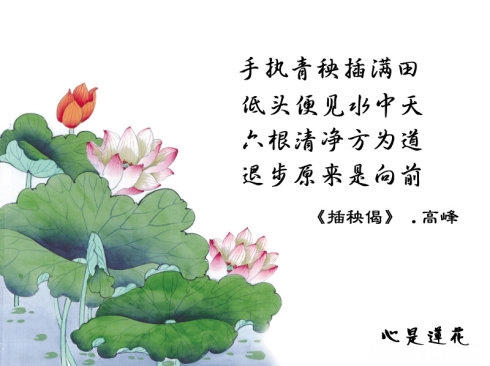 弘一法师:50年总结的做人和学佛心得 弘一法师:50年总结的做人和学佛心得