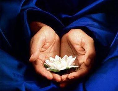 ���Ԣ�ԣ����²�������