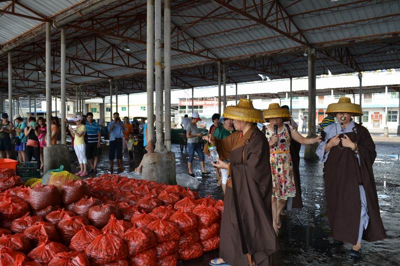 �ֽ�����ü�ż����������