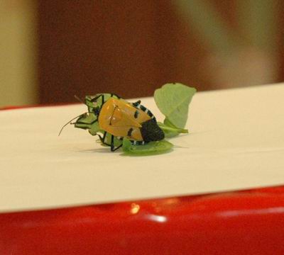 �������´������ͼƬ