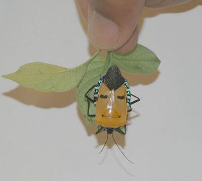 �������´������ͼƬ