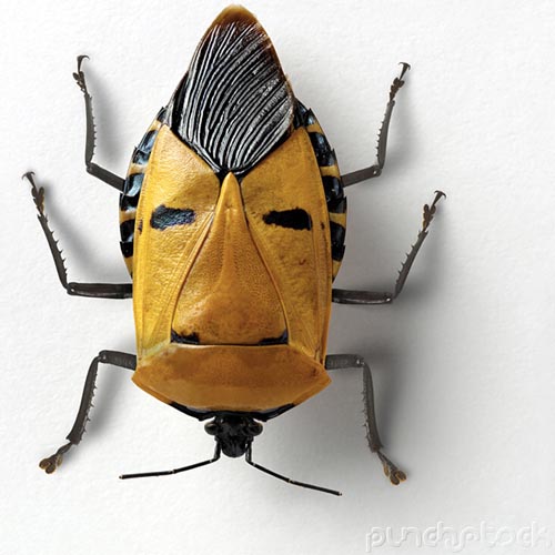 ��С�泤��̫��һ�������