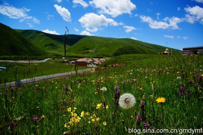 ���濰����������̬������