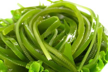 ���������һҳ