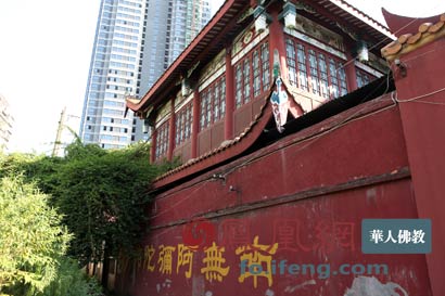 ���������¡�ǿ�𡱽���ʱ_Υ�������̬����