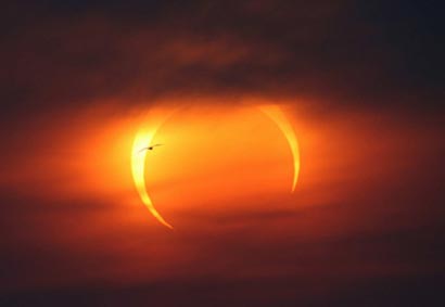 �������£�������������