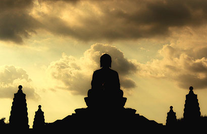 ��¹��£���ĸ����