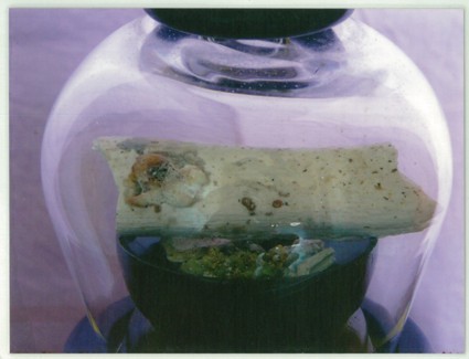 23岁儿子含笑往生,只为引父母学佛? 23岁儿子含笑往生,只为引父母学佛?