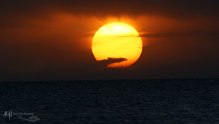 ���ͷ�ʦ������һ����ĩ�����̾���������̡���������������