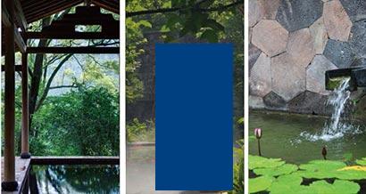 ��Ŀ���Ŀ������Ӧ��ΪЮ����������Ѻ�