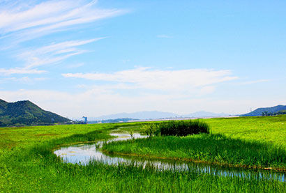 ���Ԣ�ԣ���Խ����