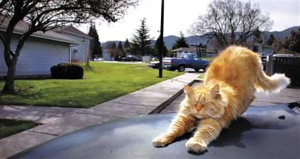 �������������ʮ�ֶ���_�ǻ�Զ��������