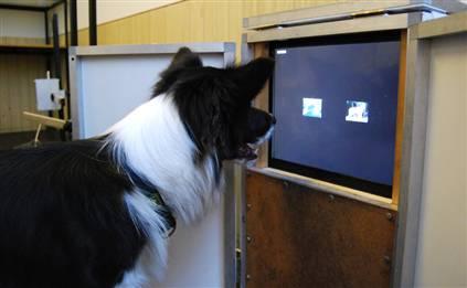 �������������ʮ�ֶ���_�ǻ�Զ��������