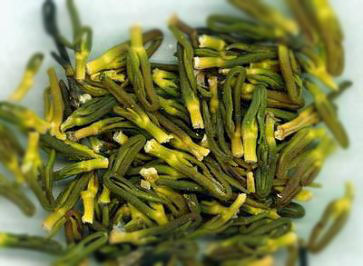 5种素食让你“肾”气凌人 5种素食让你“肾”气凌人