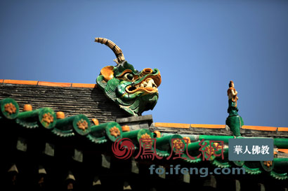 ���ͷ�ʦ���������˶��볤_�۾�����ƨ����