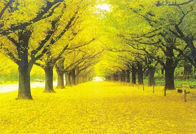 ���Ԣ�ԣ�һ������ȥ��