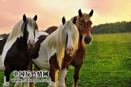 ������ĸ�ӽ��俴�������׵Ŀ����ԣ�