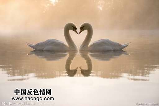 ������ĸ�ӽ��俴�������׵Ŀ����ԣ�