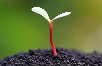 �������£���������������