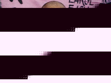 宣化上人:开悟可成佛_不开悟也可成佛_直心是道场 宣化上人:开悟可成佛_不开悟也可成佛_直心是道场