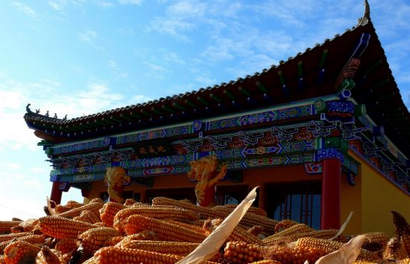 �������������������漣_���󲻸���Ϊ����ʥ��