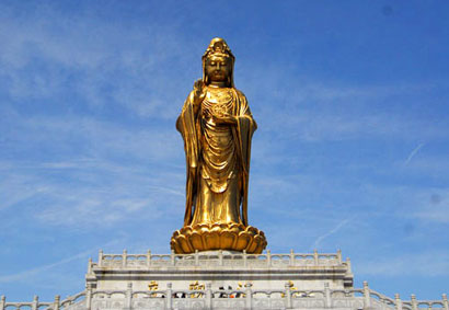 ��������_����������������