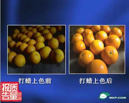 触目心惊的图片_网友:看后会死得明白(组图) 触目心惊的图片_网友:看后会死得明白(组图)