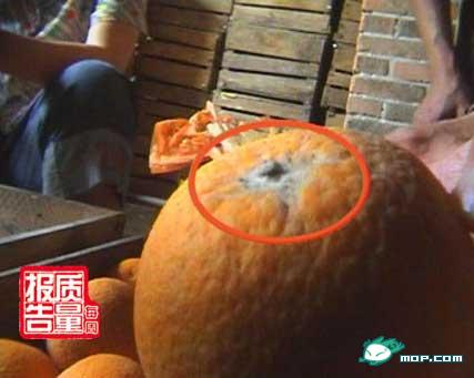 触目心惊的图片_网友:看后会死得明白(组图) 触目心惊的图片_网友:看后会死得明白(组图)