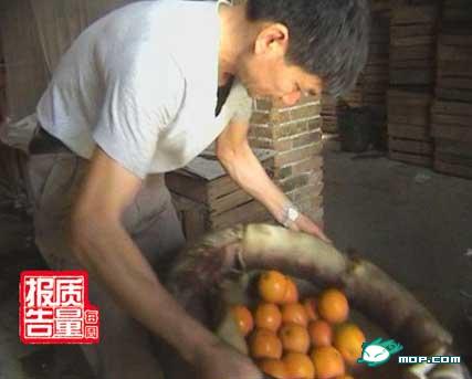 触目心惊的图片_网友:看后会死得明白(组图) 触目心惊的图片_网友:看后会死得明白(组图)