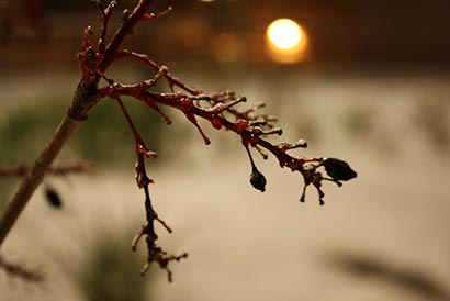 高僧故事:捐钱保佛经 高僧故事:捐钱保佛经