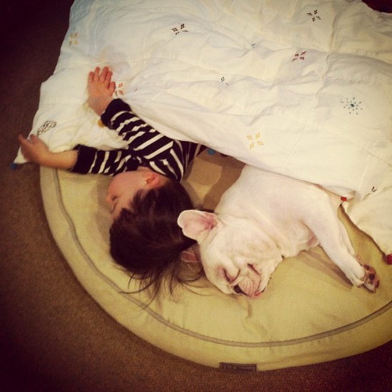 һλ�����Ľo���ӵ�һ�M�t��ȫ�����Ƭ(��ͼ)