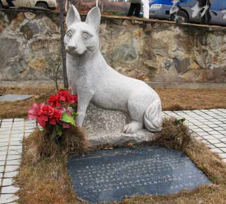 ���ﱨ���Ĺ��´�������