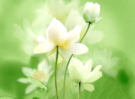 �𾭹��£���ϧ��ǰ��ӵ�е�