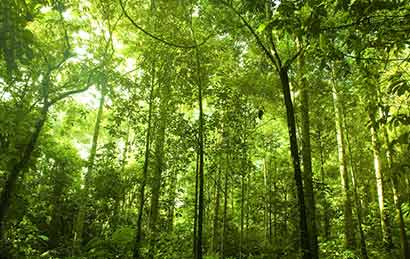 佛典故事:春姑娘的化身 佛典故事:春姑娘的化身