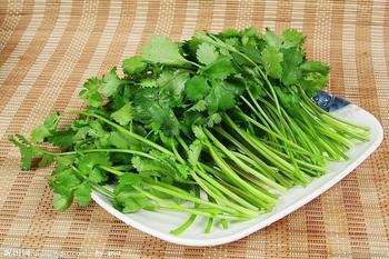 ��ϴ����ľ����ط�