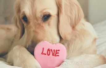 170条实用生理常识 170条实用生理常识