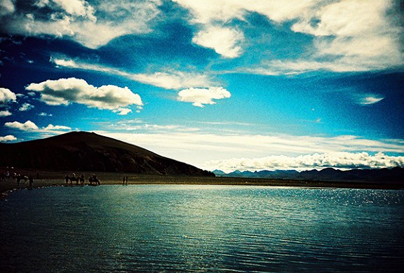 ����������