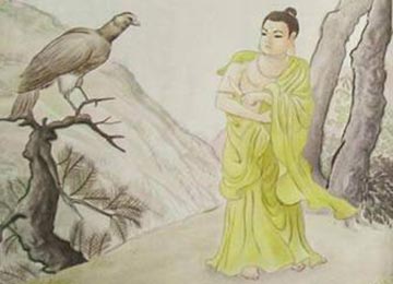 �𾭹��£�����Ĳ��������ӥ