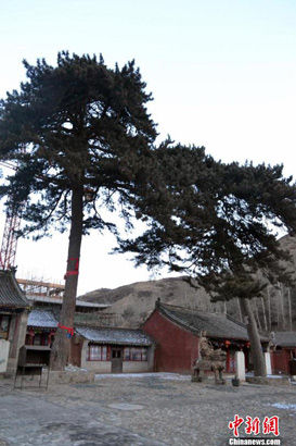 探访五台山千年古寺隐居僧人传统与现代生活(组图) 探访五台山千年古寺隐居僧人传统与现代生活(组图)