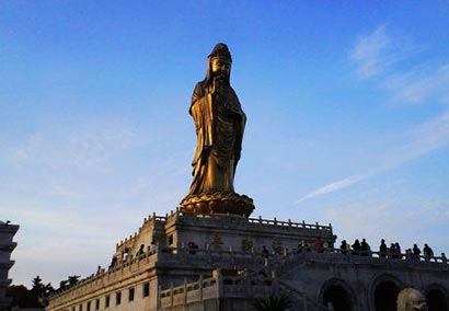 ���Ź���������Ь������