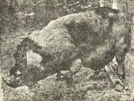 �Ϻ�����ʵ�����ֻ�ת���¼�_����ᣨͼ��