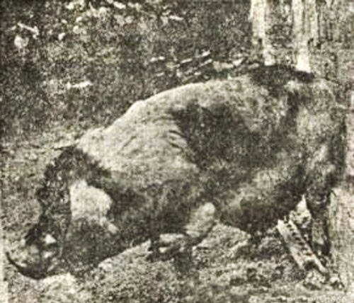 �Ϻ�����ʵ�����ֻ�ת���¼�_����ᣨͼ��