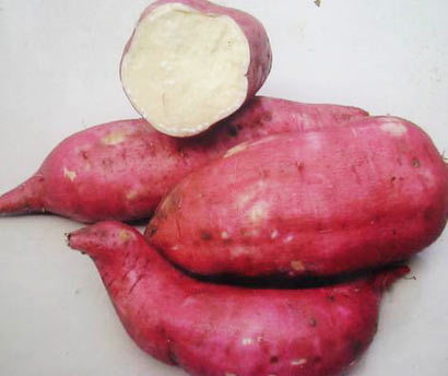 盘点五种强力抗癌蔬菜 盘点五种强力抗癌蔬菜