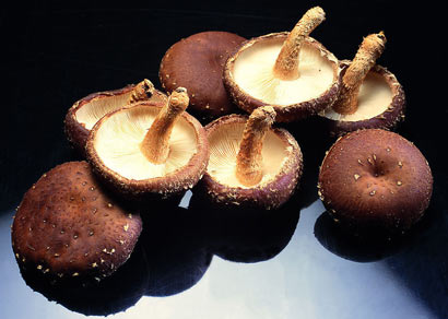 盘点五种强力抗癌蔬菜 盘点五种强力抗癌蔬菜