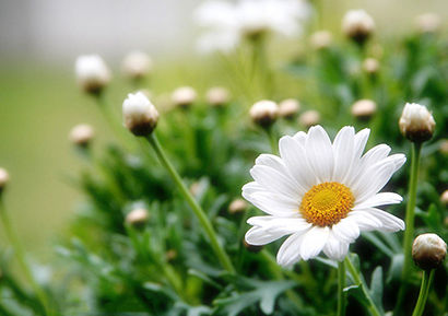 ���Ԣ�ԣ��������Ŷ��Ǻúû�