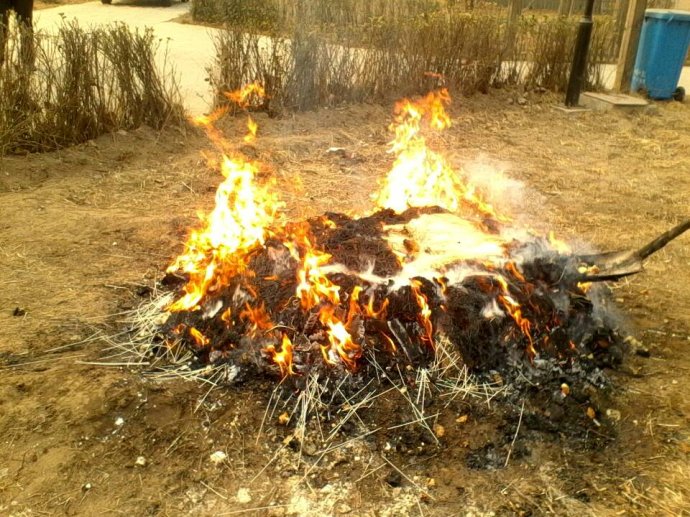 �⼸����Ƭȫ���ĵ����ˣ����ܿ�����