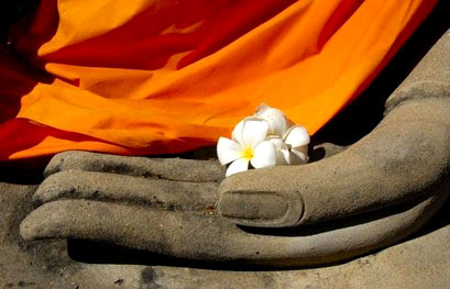 本焕长老:慈善是僧人修持的方便法门 本焕长老:慈善是僧人修持的方便法门