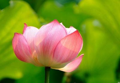 �𾭹��£��������ײ�