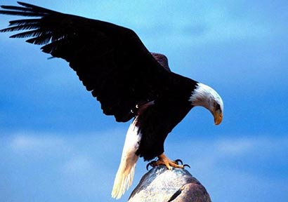 ���Ԣ�ԣ������޸���